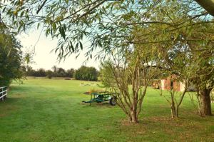 Paddock- click for photo gallery